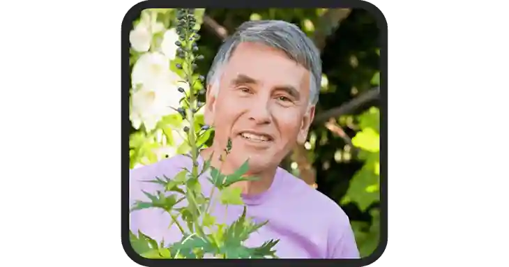 ProstAfense Reviews
